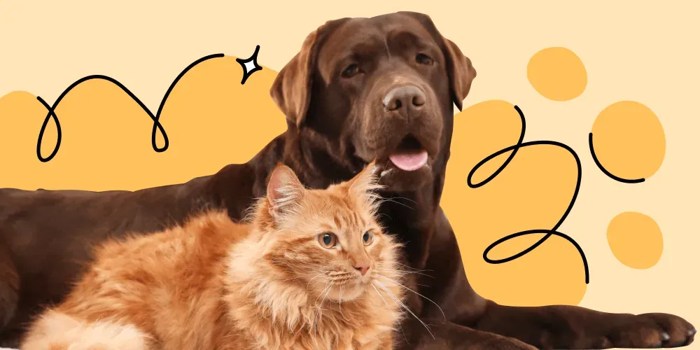 Do children who grow up with animals have fewer allergies?