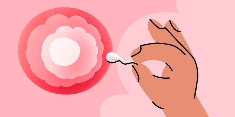 7 mitos sobre la FIV