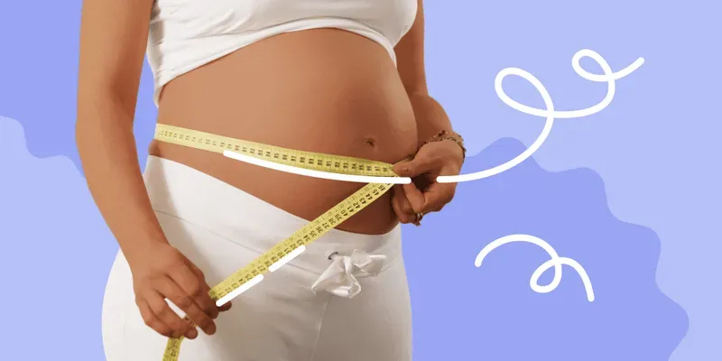 Comparando panzas: ¿qué significan su tamaño y su forma?