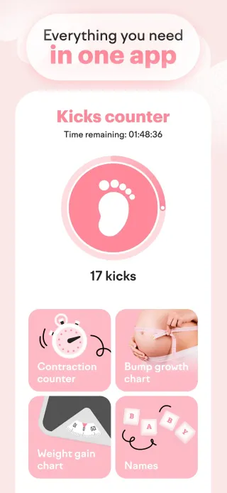 everything in one app
