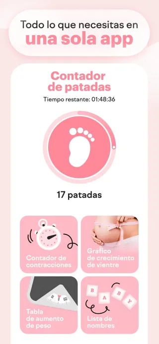 todo en una sola app