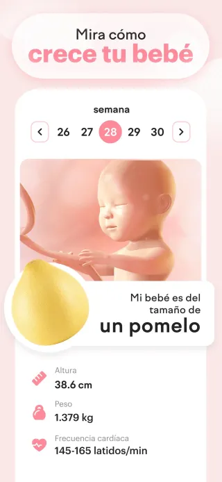 mira cómo crece tu bebé
