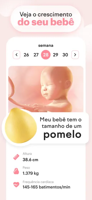 veja seu bebê crescer