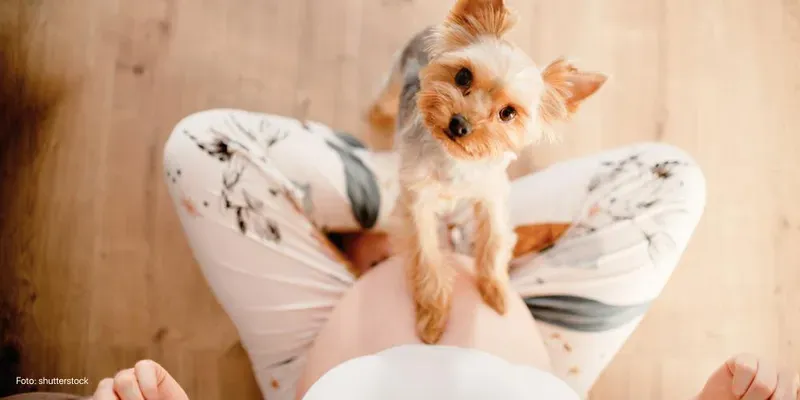 O que significa quando o bebê desce?