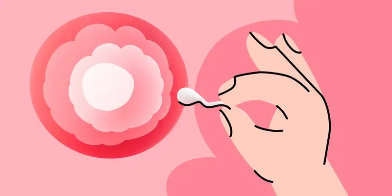 7 mitos sobre Fertilização In Vitro (FIV)