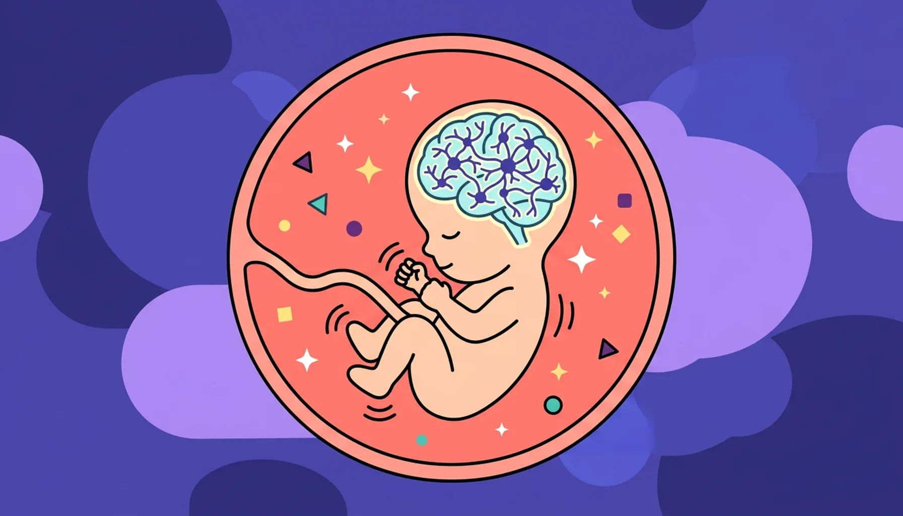 El cerebro de tu bebé se desarrolla con rapidez